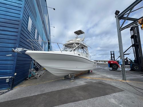 2022 Century 3000 Express