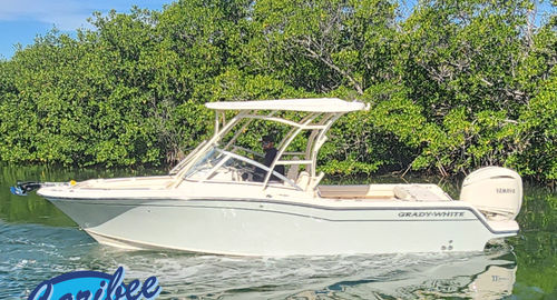 2026 Grady white Freedom 235
