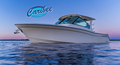 2026 Grady white Freedom 345